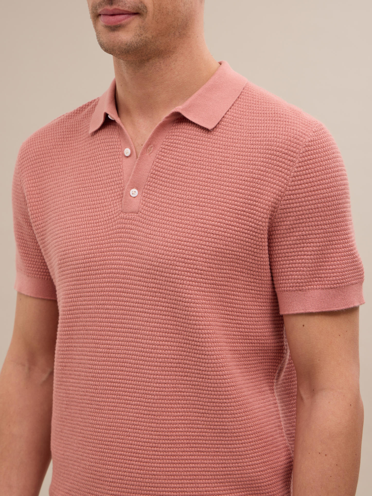 Polo Nolo