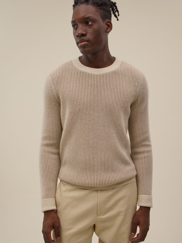 Cashmere Sweater Antone