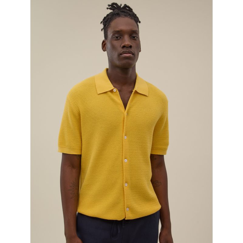 Polo Zev