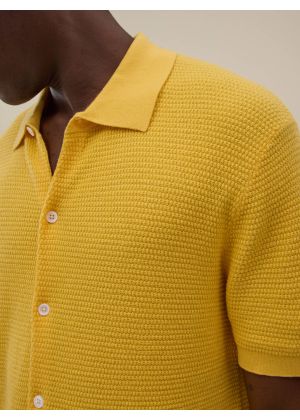 Polo Zev