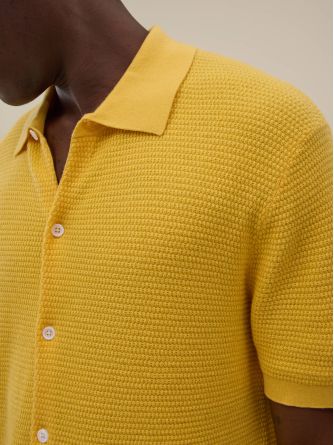 Polo Zev