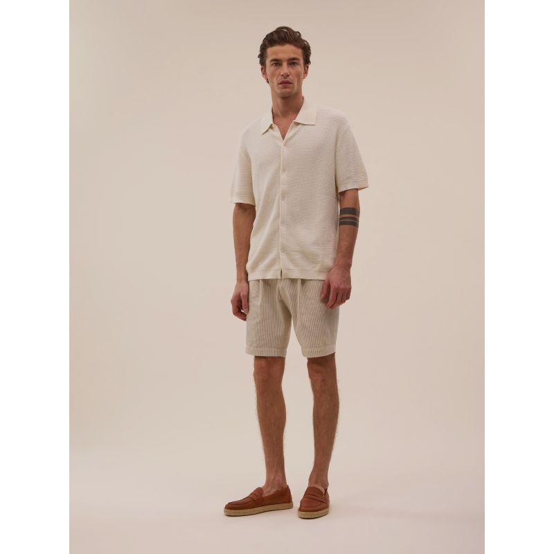 Polo Zev