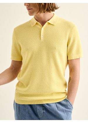 Polo Nolo